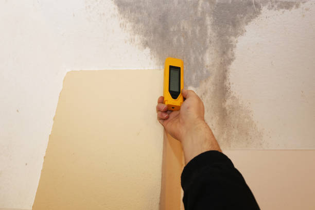 Best Mold Remediation for Healthcare Facilities  in Reidville, SC