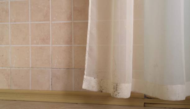 Best Mold Prevention Services  in Reidville, SC
