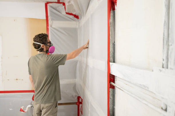  Reidville, SC Mold Removal Pros