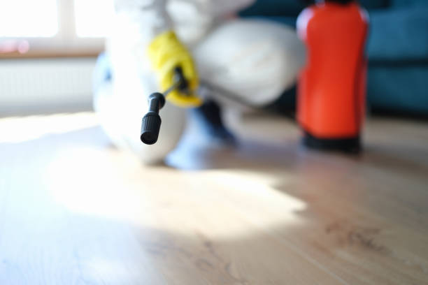 Best Real Estate Mold Inspection  in Reidville, SC