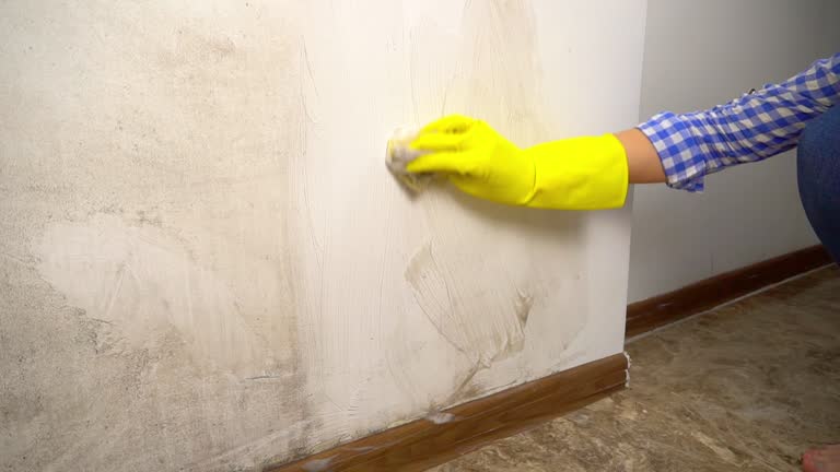Best Indoor Air Quality Assessment  in Reidville, SC