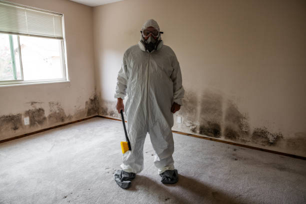 Best Mold Damage Restoration  in Reidville, SC