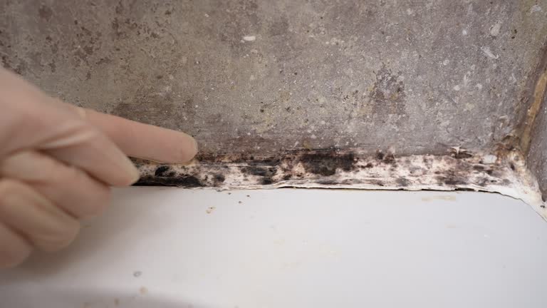 Best Post-Remediation Verification Testing  in Reidville, SC